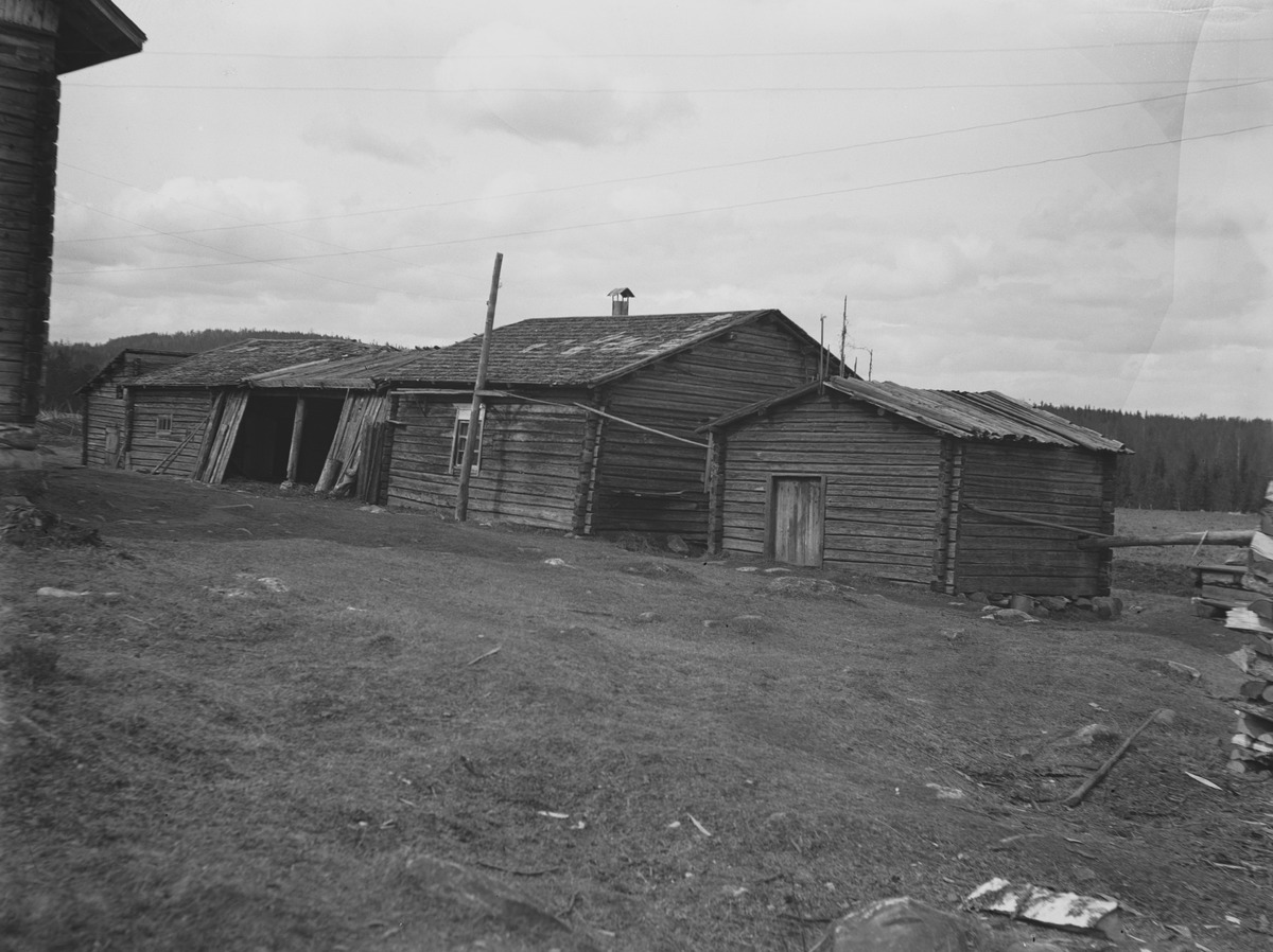 Kalapuron talon karjakartano, Asuinrakennuksen nurkkaa, sikopahna, talli, navetta, kota, ränni kaivolta kotaan. (Isännän nimi on Taavetti Virtala), Rytkönen, Ahti, kuvaaja 1928, Museovirasto, Kansatieteen kuvakokoelma